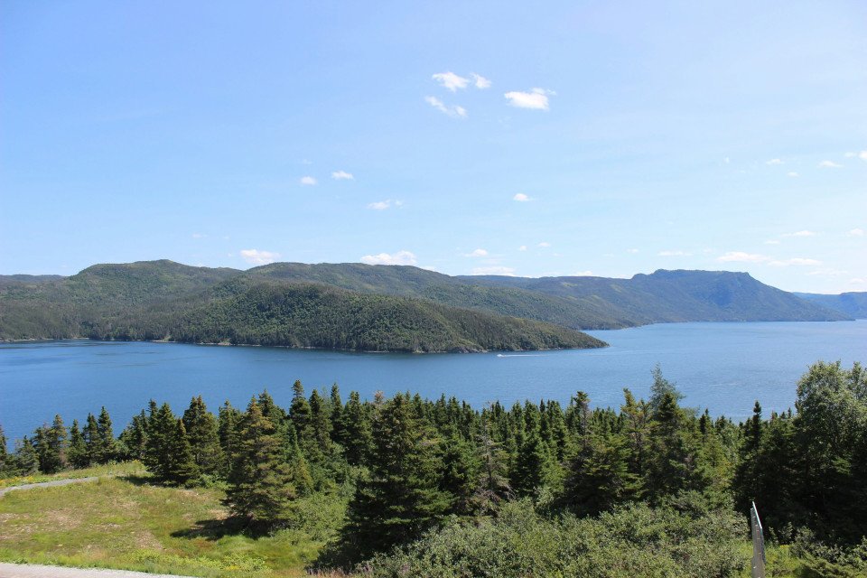 14 Image 14