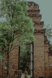 3 Image 3