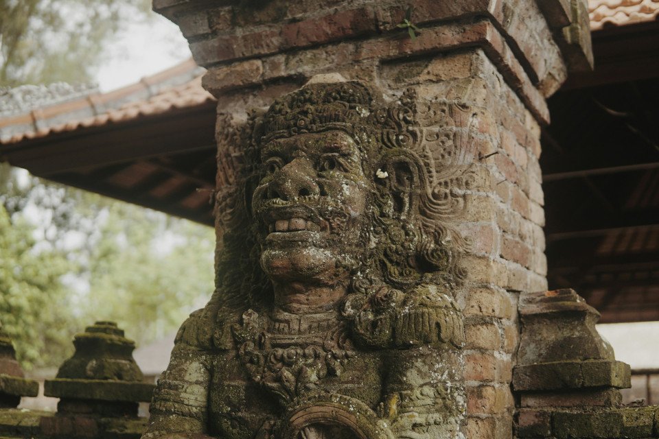 3 Image 3