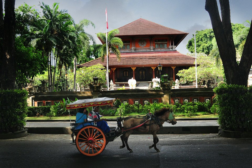 4 Image 4