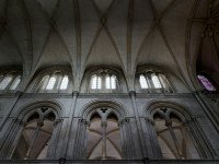 7 Image 7