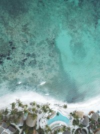8 Image 8