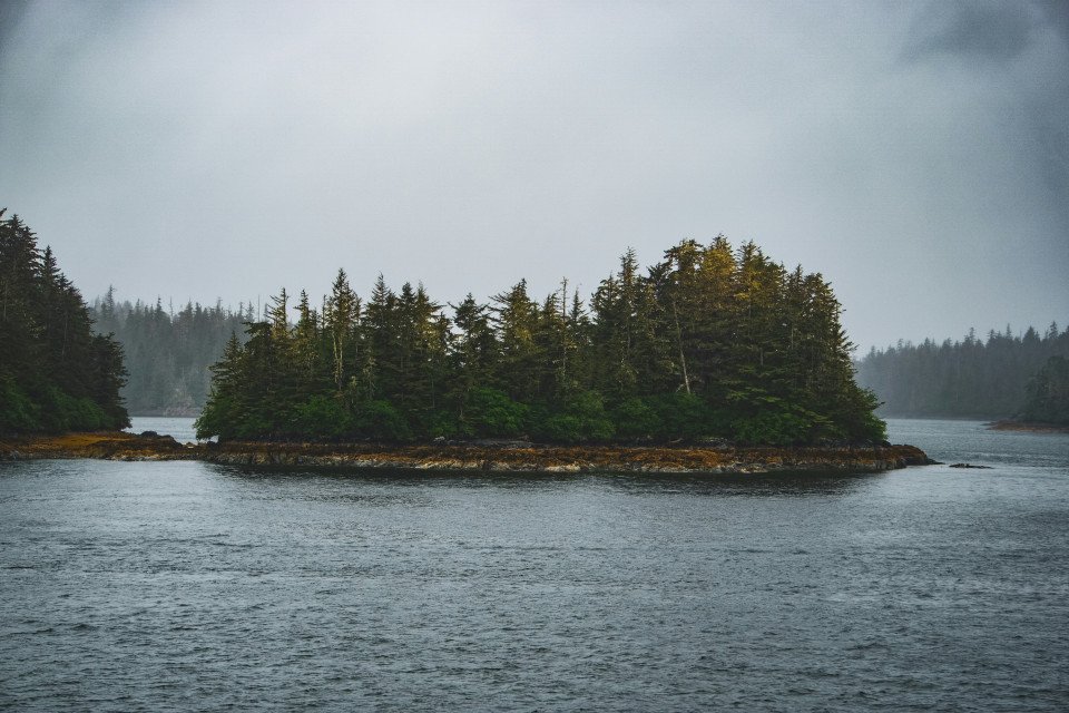 8 Image 8