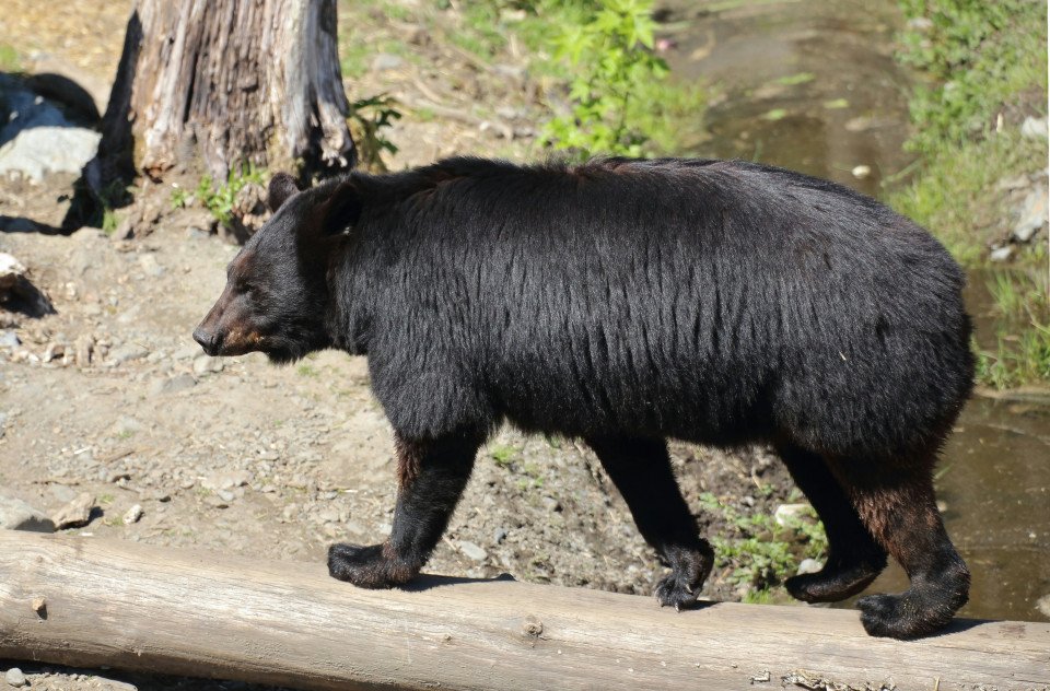 9 Image 9