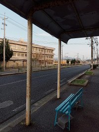 11 Image 11