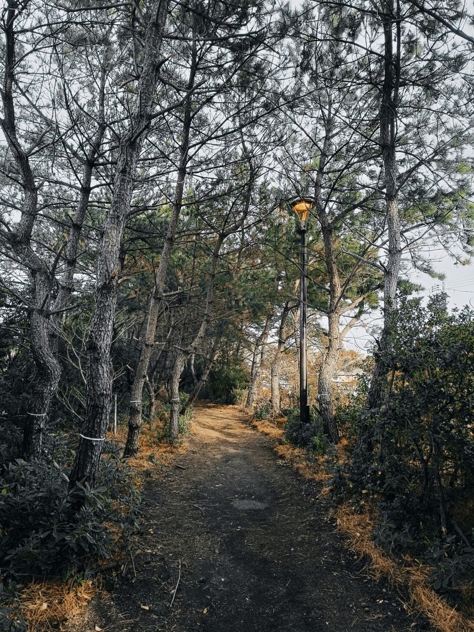 12 Image 12