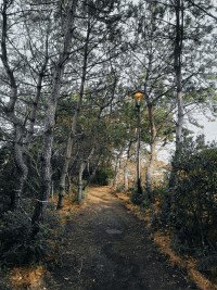 12 Image 12