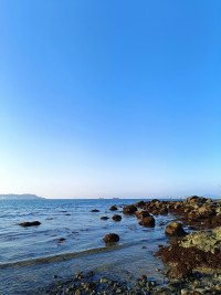 10 Image 10