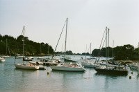 15 Image 15