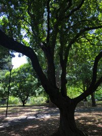 5 Image 5