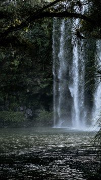 9 Image 9