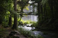 8 Image 8