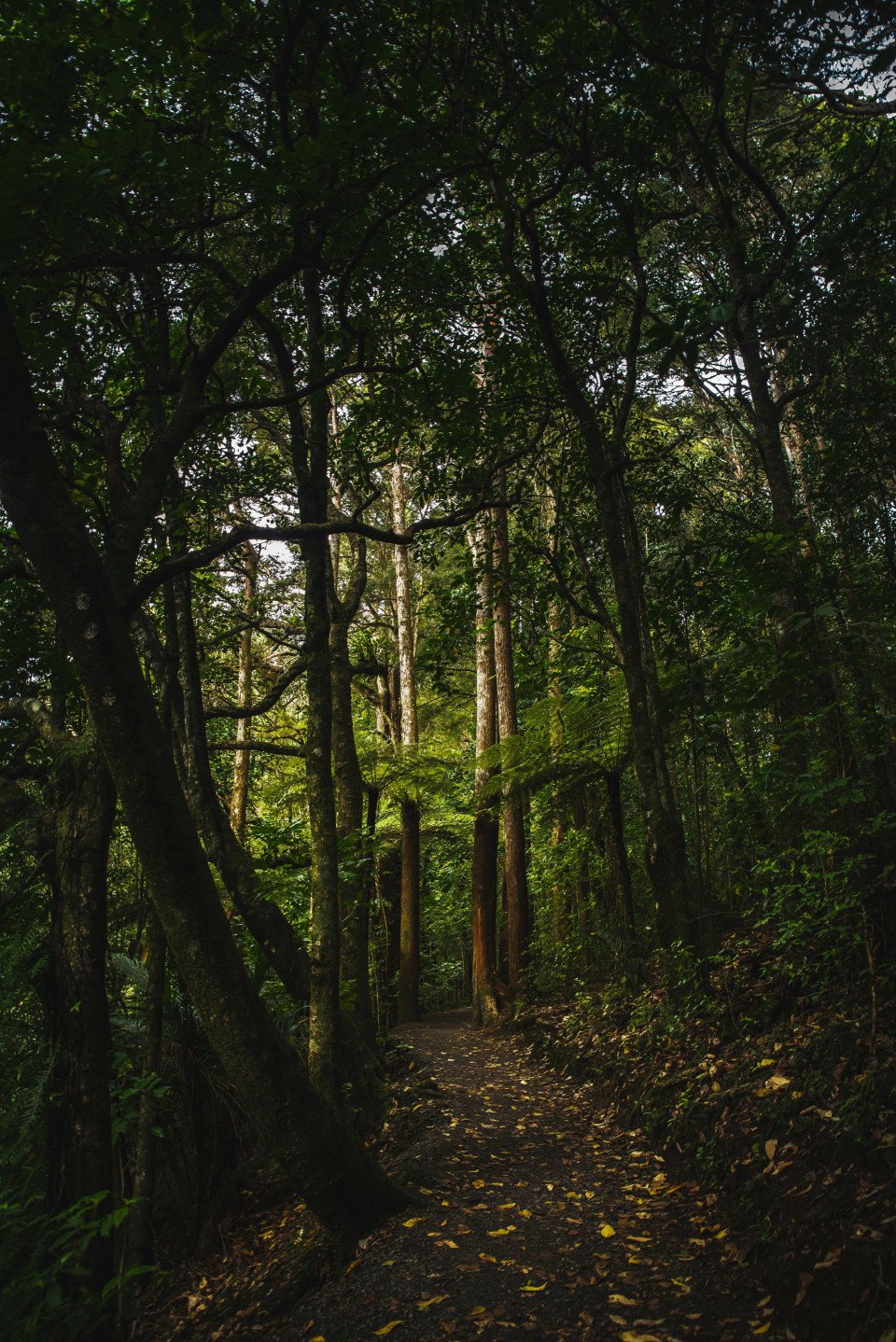 8 Image 8