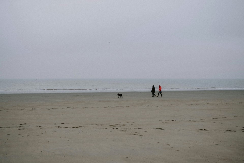 39 Image 39