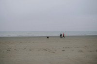 39 Image 39