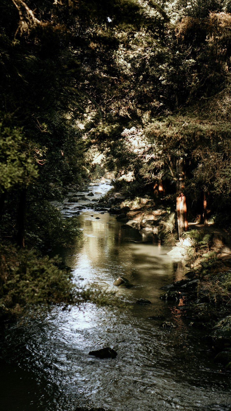 11 Image 11