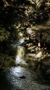 11 Image 11