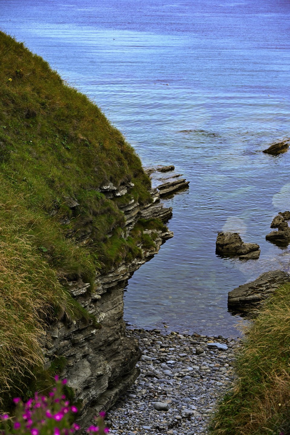 11 Image 11