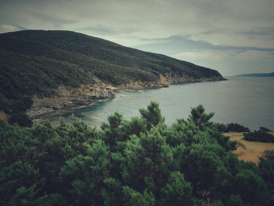 14 Image 14