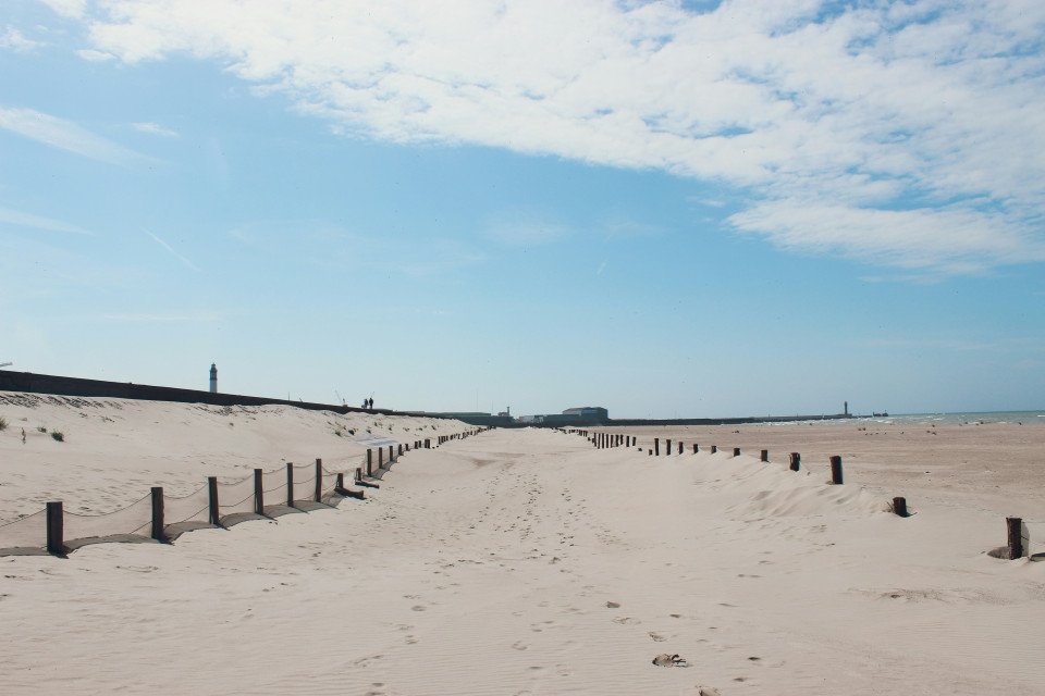 4 Image 4
