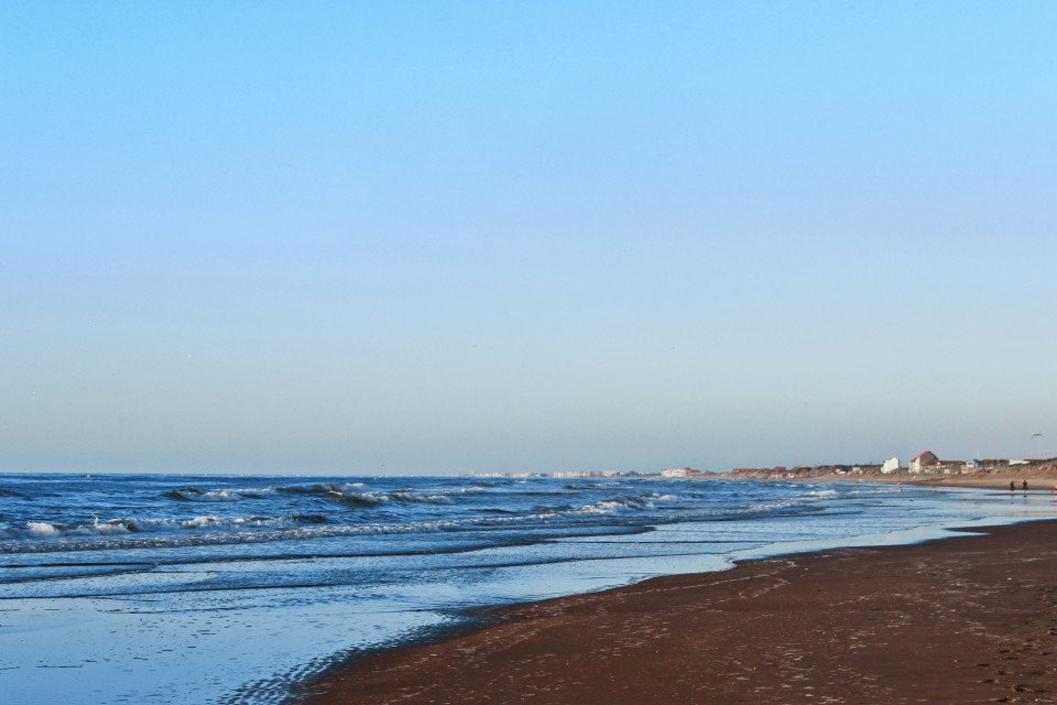 3 Image 3