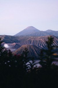 11 Image 11