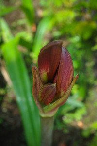 14 Image 14
