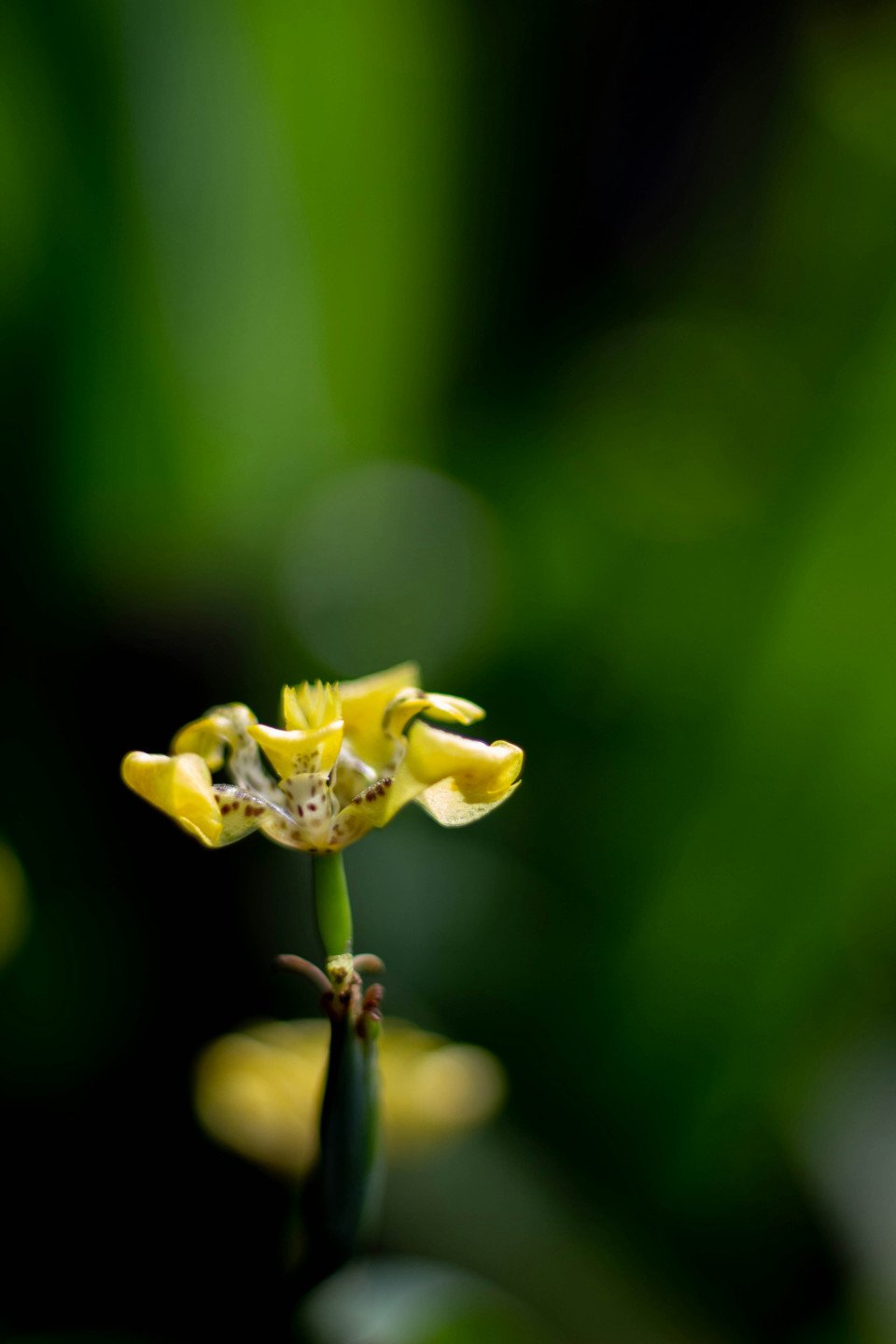 7 Image 7