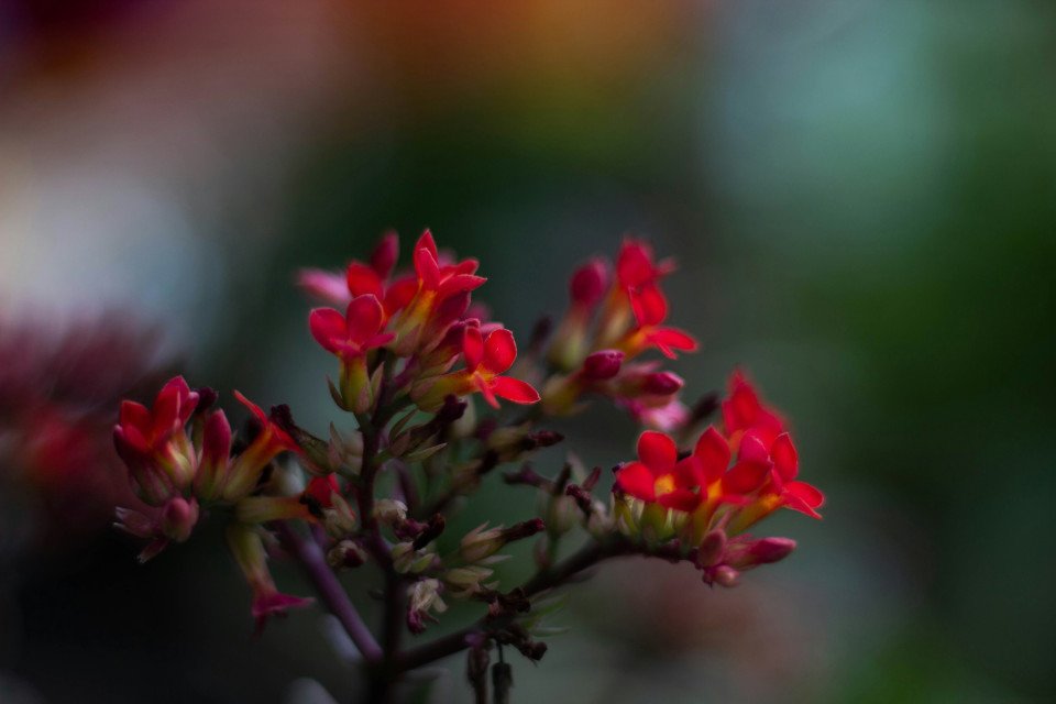 8 Image 8