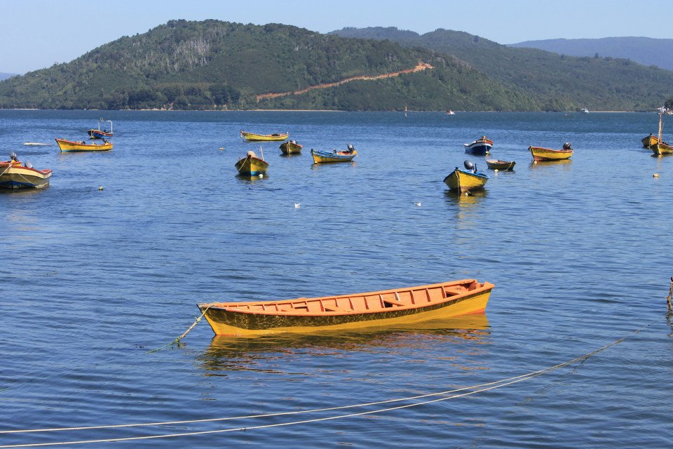 3 Image 3
