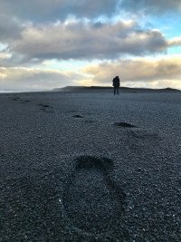 41 Image 41