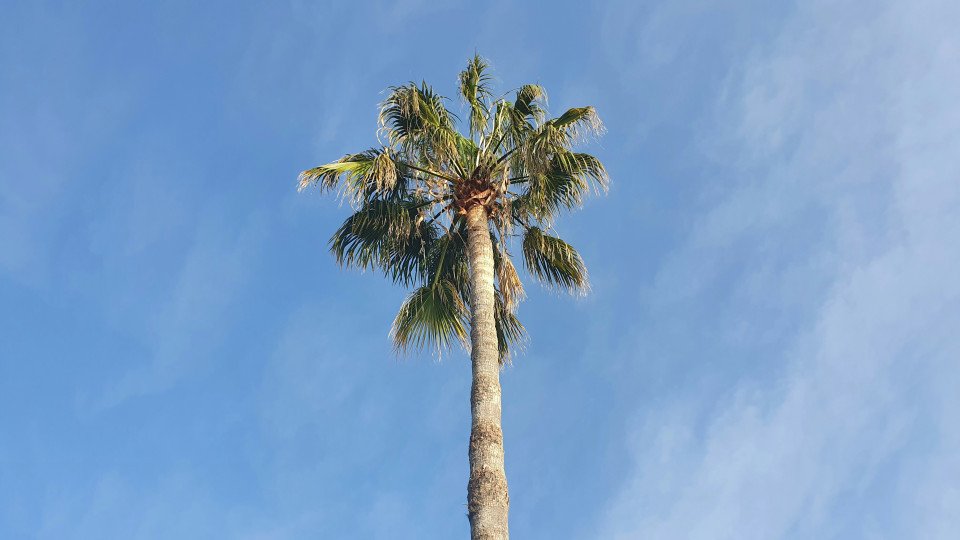 3 Image 3