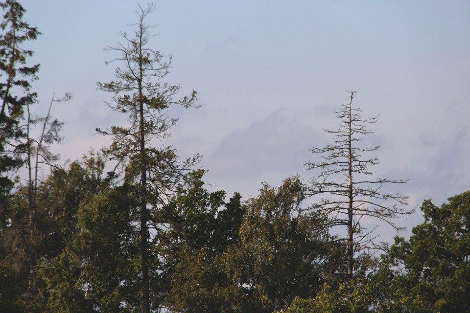 16 Image 16
