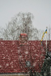 18 Image 18