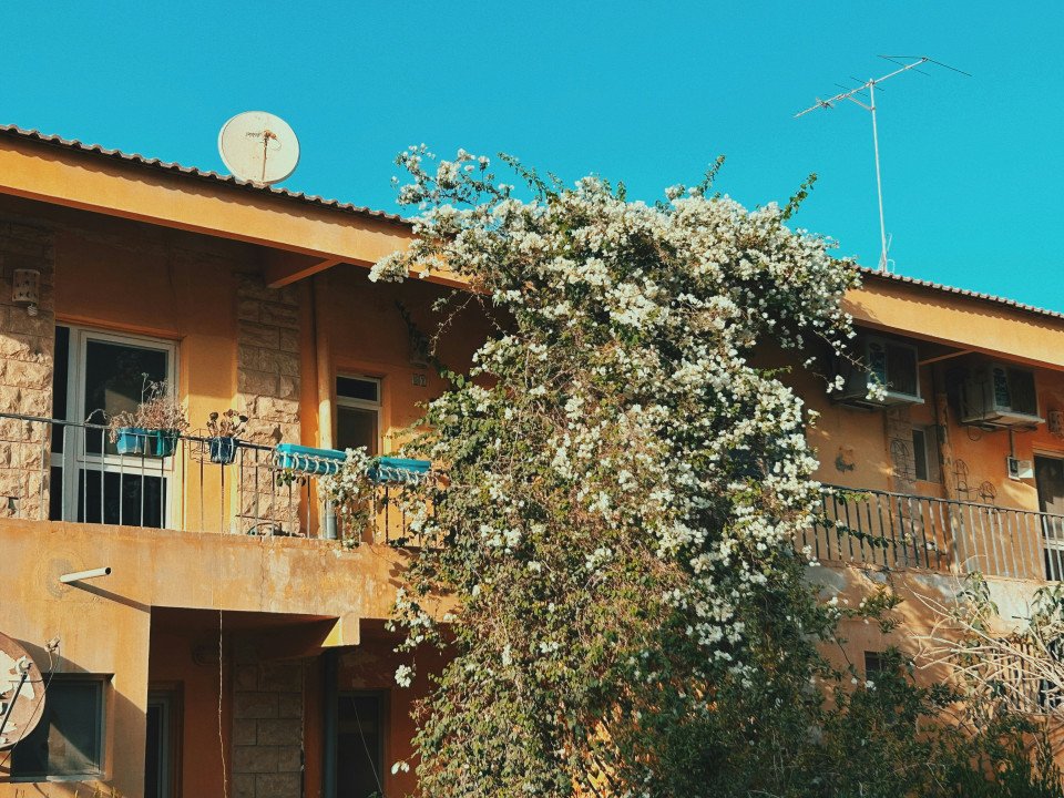 4 Image 4