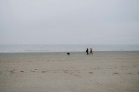 2 Image 2