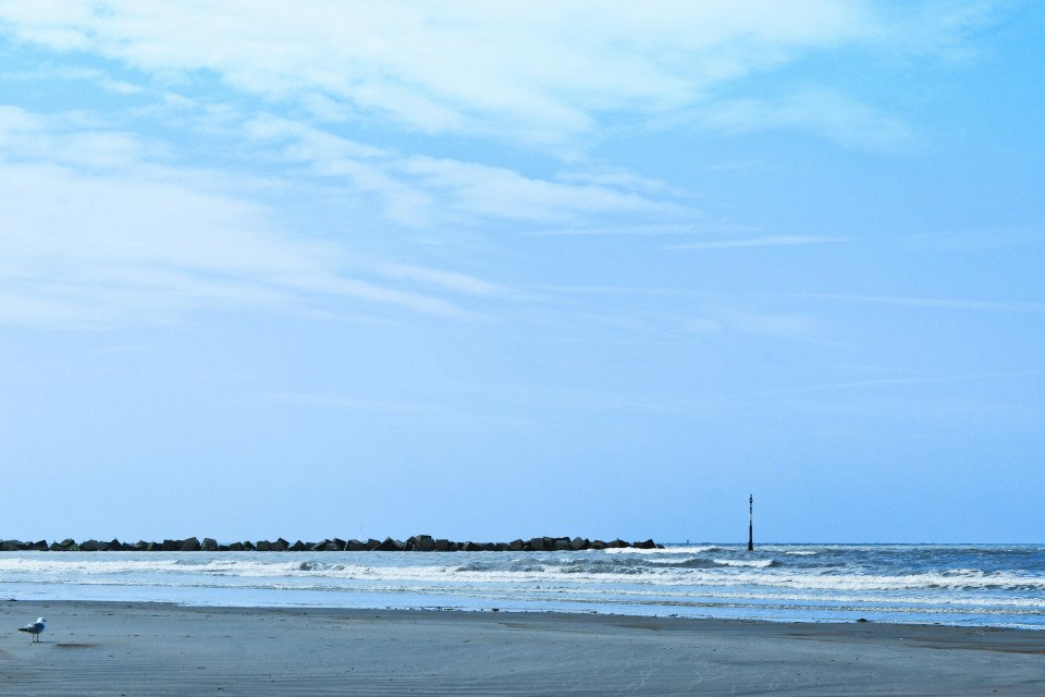 3 Image 3