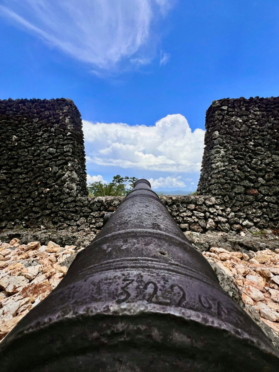 7 Image 7