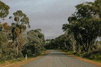 14 Image 14