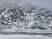 8 Image 8