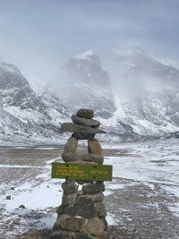11 Image 11