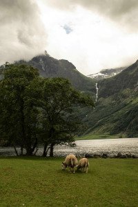 4 Image 4