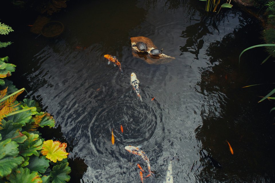 18 Image 18