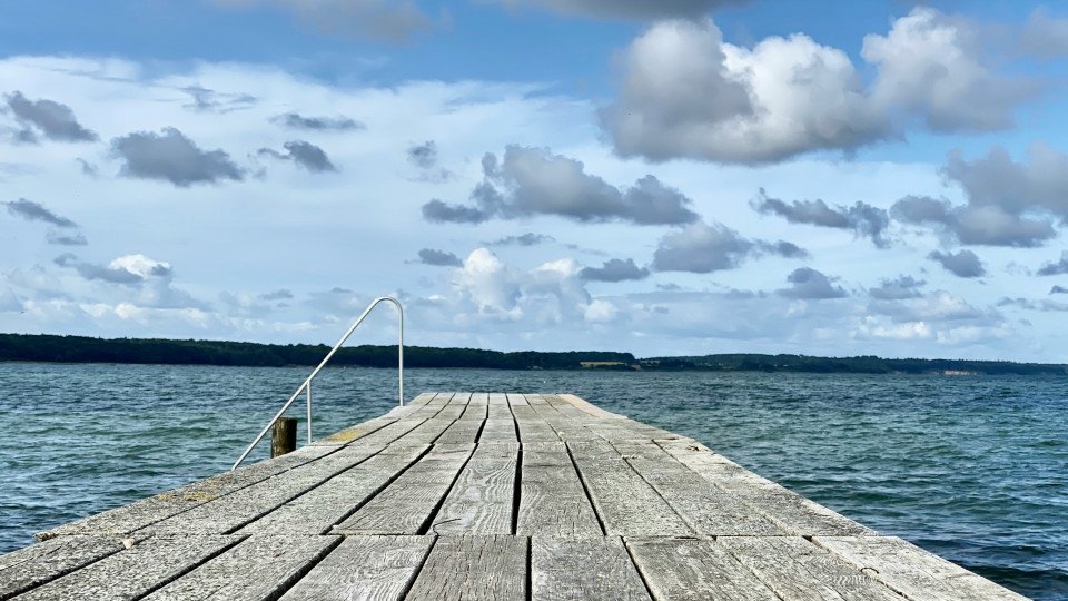 5 Image 5