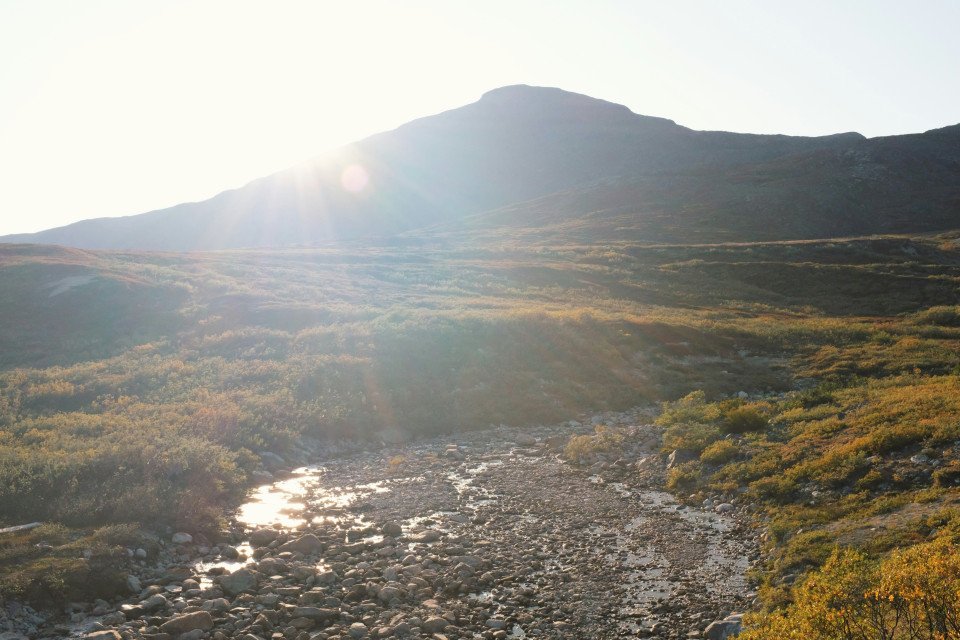 7 Image 7