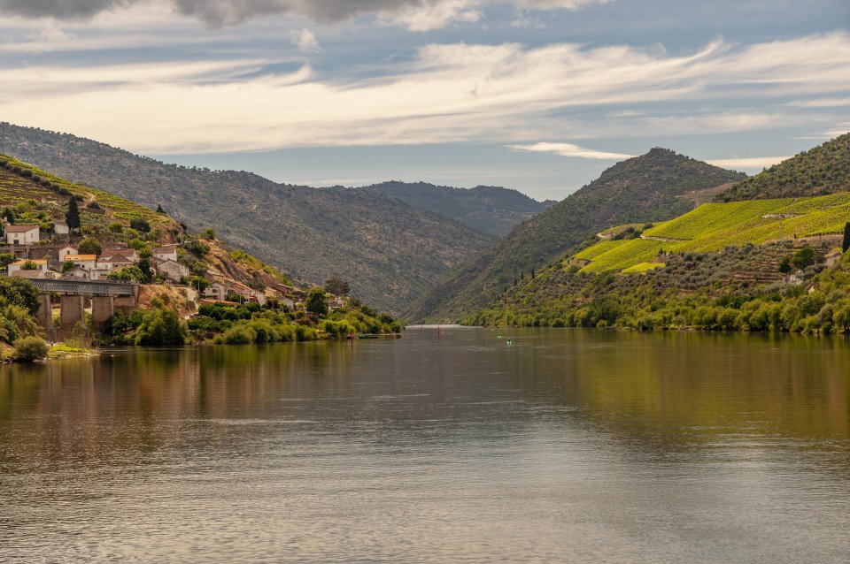 Festive Season on the Douro search image