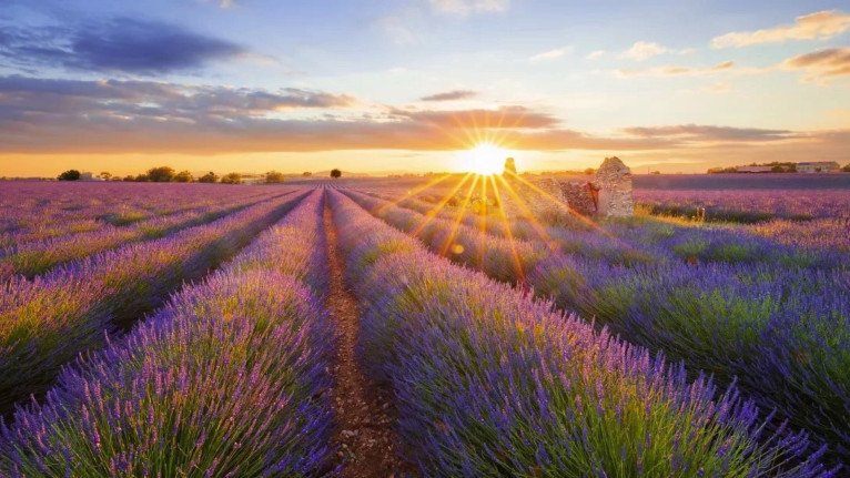 Riviera Travel gallery image