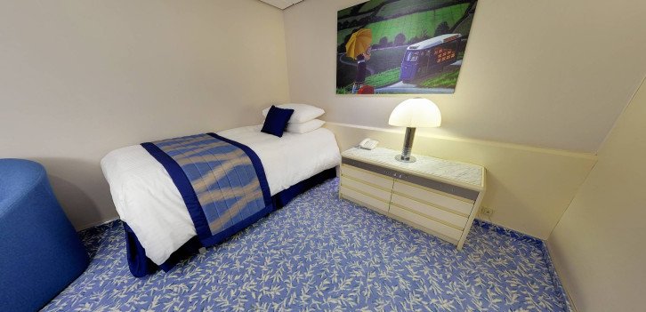 Single Superior Interior (M)