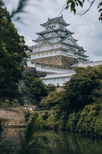 2 Image 2