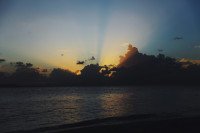 3 Image 3